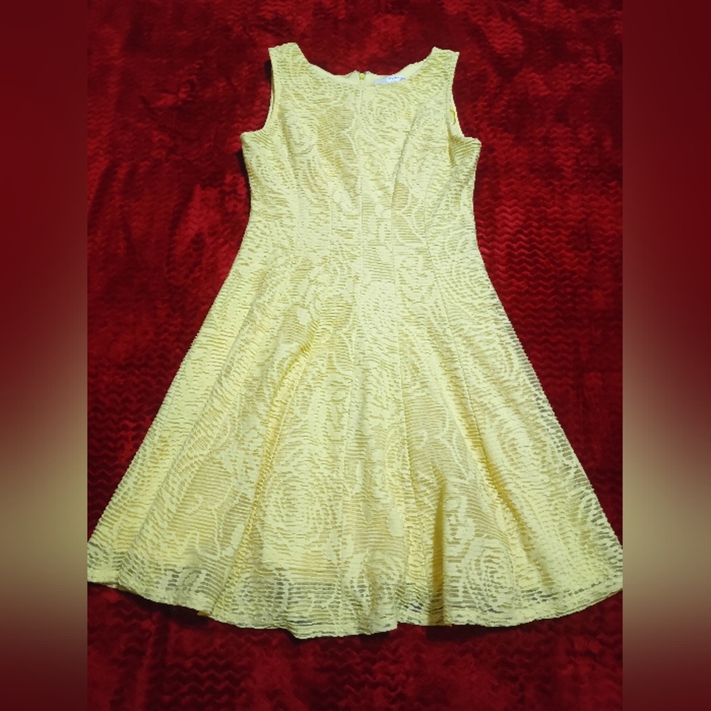 Studio One Sunny Yellow Lace Mini Dress